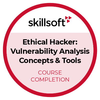 Vulnerability Analysis Concepts & Tools